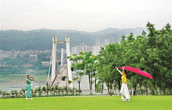 5近日,南山公園,一片片綠茵茵的草坪令人心曠神怡.通訊員 駱勇 攝