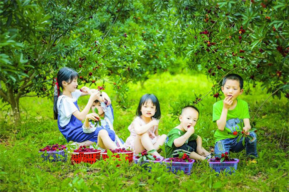 孩子们享受丰收的果实。通讯员 王徐肯 华侨供图
