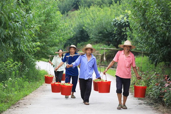 丰收的果农。梁平区文化和旅游发展委员会供图 华龙网发