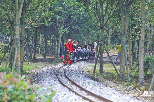 游客在体验小火车游乐项目。通讯员 熊伟 摄