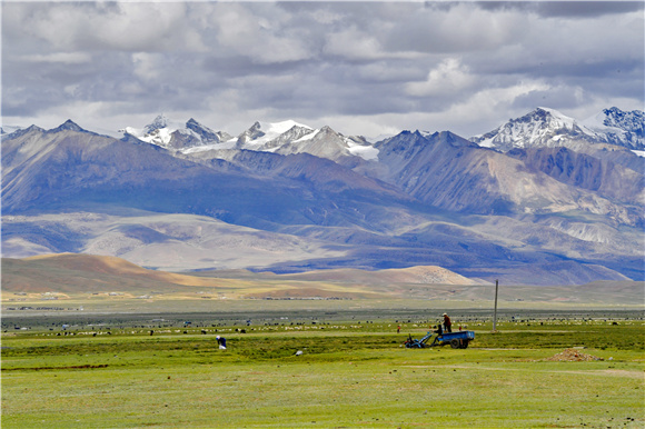 西藏当雄县格达乡境内的草场。