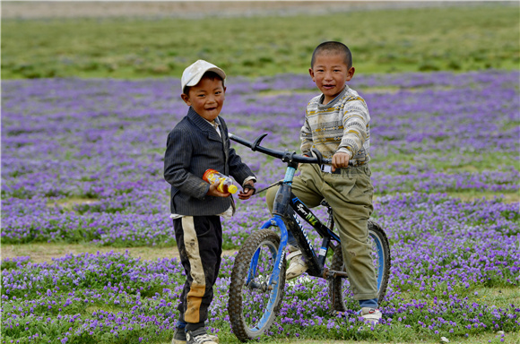 西藏当雄县格达乡格达村的儿童在草场玩耍。