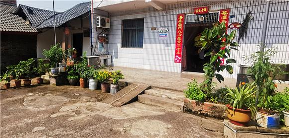 村民自发培植的花草。特约通讯员 赵武强 摄