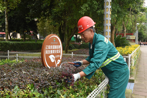 6石柱县园林工人在滨河公园修剪绿化苗木。特约通讯员 隆太良 摄