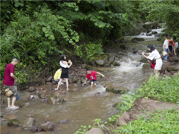家长、孩子在山间小溪里戏水、摸鱼。