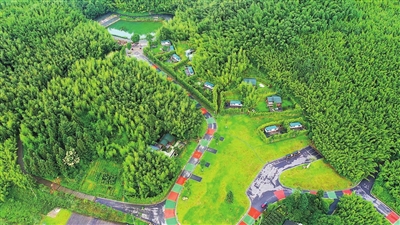 位于百里竹海旅游度假区的星空露营房车基地，竹林茂密而苍翠。通讯员 熊伟 摄