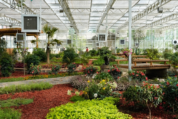 工作人员在康巴高原植物园的玻璃温室展览馆内工作。