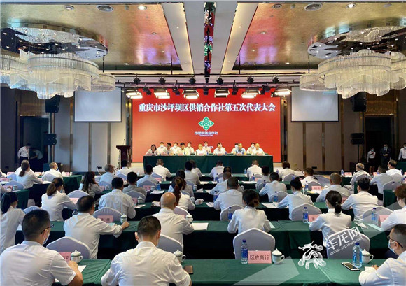 重庆市沙坪坝区供销合作社今日举行第五次代表大会。华龙网-新重庆客户端记者 曹建 摄