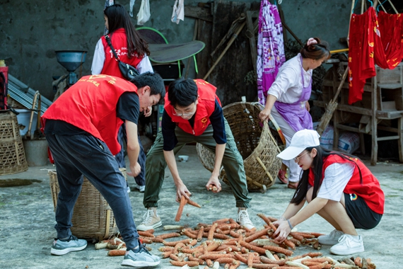 队员们帮助村民抢收晒好的苞米 重庆电力高等专科学校供图 华龙网发