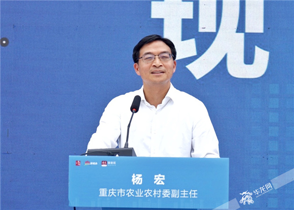 2重庆市农业农村委副主任杨宏。华龙网—新重庆客户端记者 曹建 摄