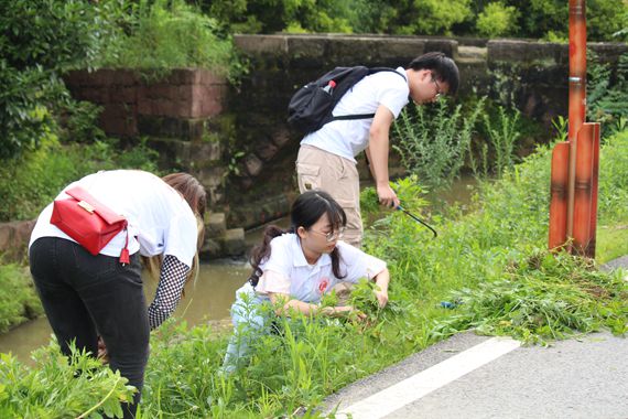 在田间体验除草 陈明 摄