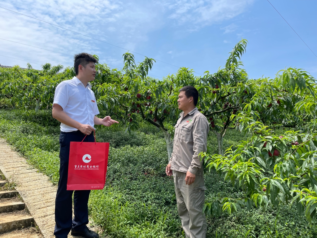 图1：重庆农商行长寿支行客户经理张凌在重庆市长寿区聚惠水果种植家庭农场实地调查。