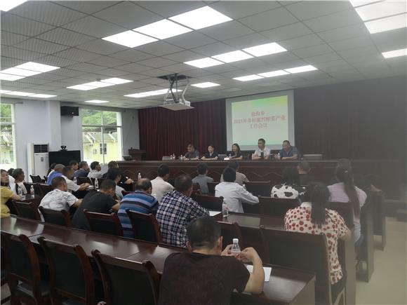 武隆区农业公司在沧沟乡召开榨菜产业动员会。通讯员 冯晓容  摄