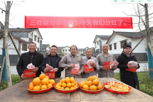 三社融合,村民分红了。通讯员 胡瑾 摄 三社融合,村民粉红了。通讯员 胡瑾 摄