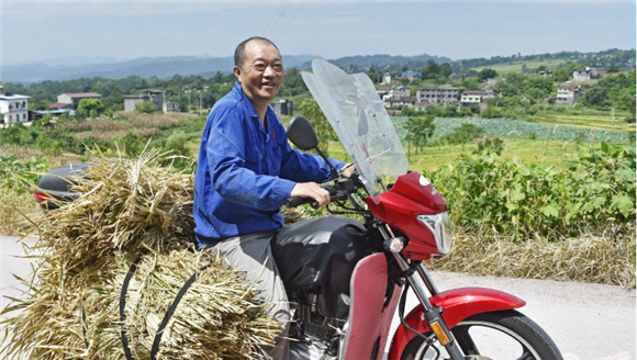 村民使用摩托车运输稻谷。通讯员 黄维娇 供图