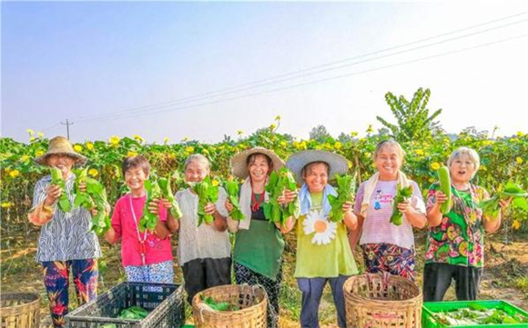 丝瓜丰收村民乐。