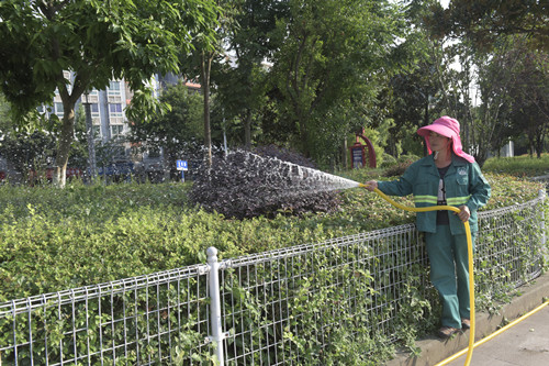 园林工人为苗木浇水。特约通讯员 隆太良 摄