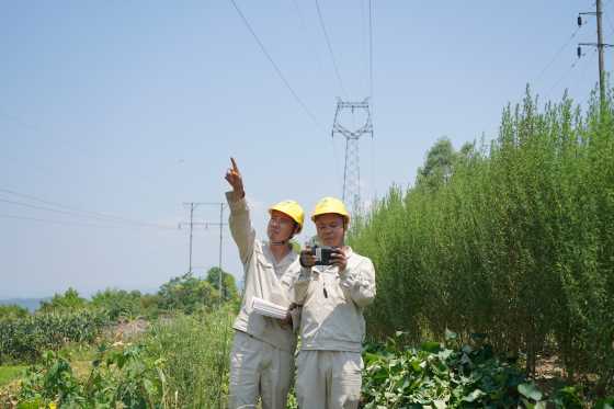 国网重庆丰都供电公司输电线班人员对电力铁塔金具进行红外线测温。通讯员 刘远平 摄
