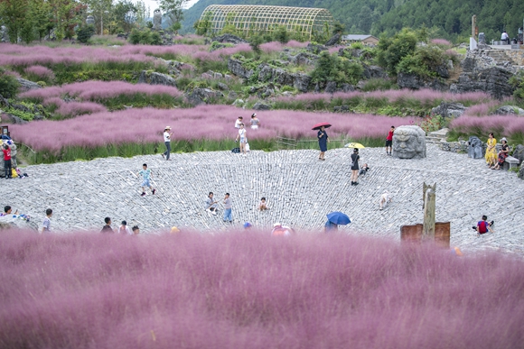 游客在重庆酉阳县板溪镇叠石花谷景区里观光游玩。