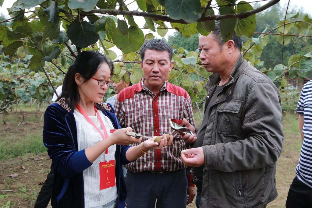专家正在指导村民种植。重庆市人力社保局 供图 华龙网-新重庆客户端 发