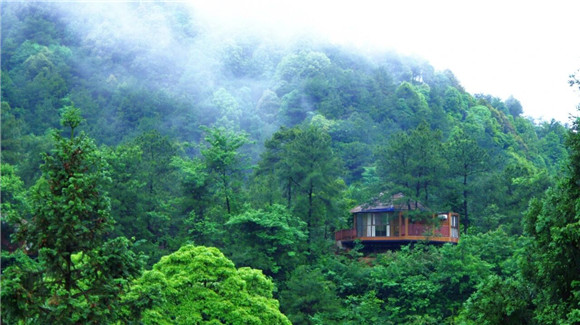 森林树屋。长寿区文化旅游委供图 华龙网发