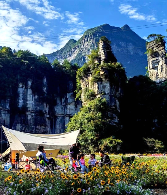万卷书台提供花海中的露营。 景区供图 华龙网发 万卷书台提供花海中的露营。 景区供图 华龙网发