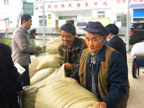 重庆粮食集团到区县收粮现场。重庆粮食集团供图