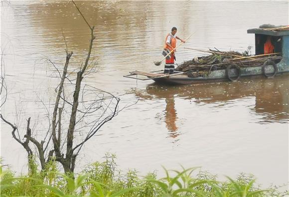 工人在小安溪流域上清漂。通讯员 陈刚 摄
