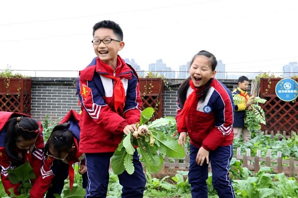 种植的萝卜大丰收，学生们笑开了花。两江新区宣传部供图 华龙网-新重庆客户端发