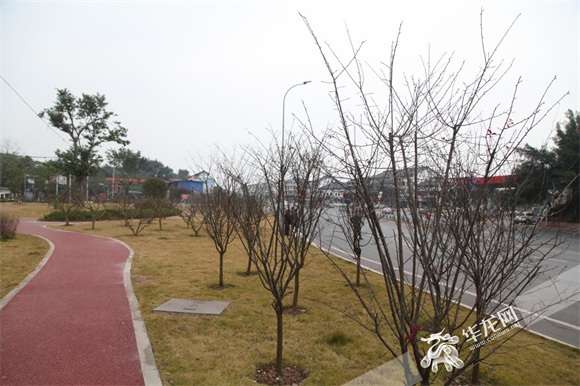 改造后的铜平路口俨然街心公园。华龙网-新重庆客户端记者 羊华 摄