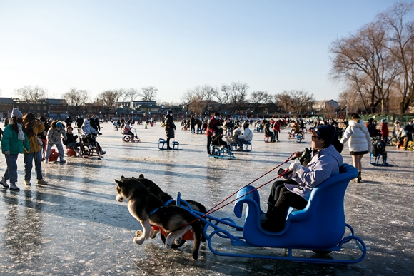 市民游客在北京什刹海冰场乘坐电动“狗”拉雪橇。