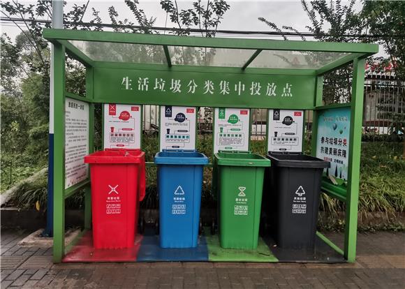永东村里设置的垃圾分类集中投放点。通讯员 陈刚 摄