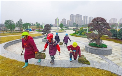 垫江县东部新区三合湖湿地公园，工人在搬运草皮。通讯员 龚长浩 摄