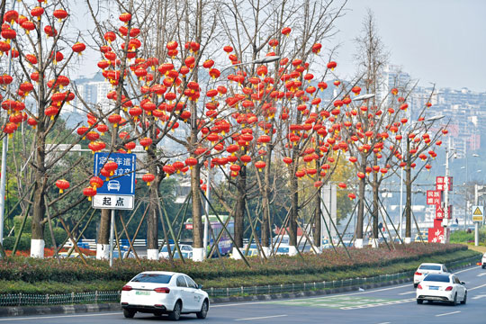大红灯笼已挂满行道树。通讯员 崔景印 摄