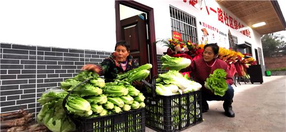 村民整理自产的蔬菜。特约通讯员 赵武强 摄