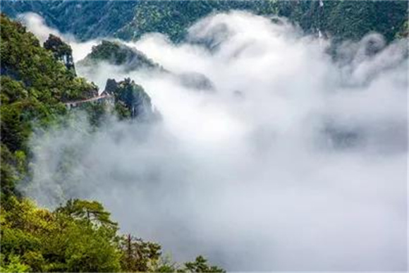 云雾缭绕的武陵山大裂谷。涪陵文旅委供图