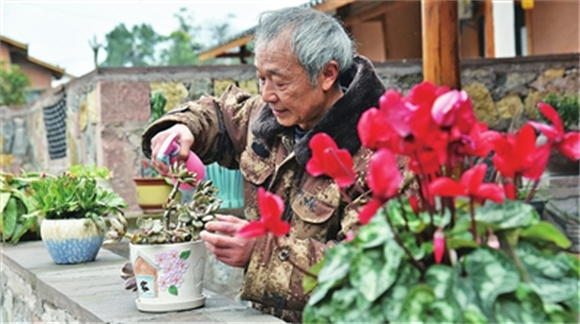 中梁镇庆丰山村村民胡远春精心打理自家院坝里的多肉植物。通讯员 喻庆 摄