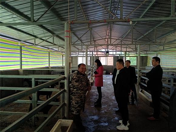 陈文建（左）在自己的羊圈里与龙石镇政府及驻村工作队交谈养殖黑山羊收益情况。通讯员 祝松平 摄