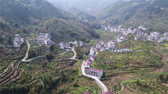 凤凰镇木龙村。凤凰镇供图 华龙网发 凤凰镇木龙村。凤凰镇供图 华龙网发