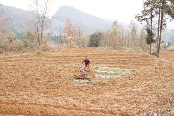 村民正在规整土地。通讯员 杨春燕 任会供图