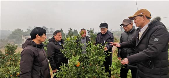 專家地頭會診解決生產(chǎn)問題。特約通訊員 趙武強 攝