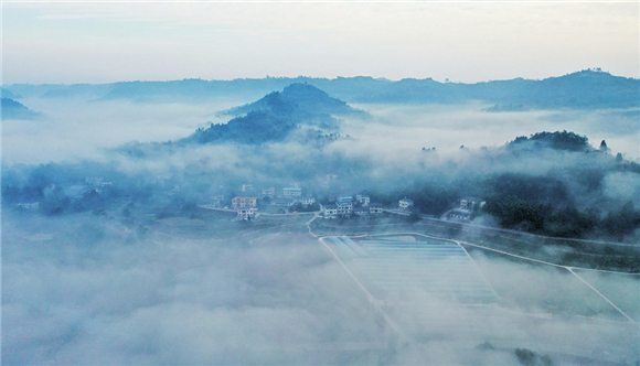 乡村、田野、通村公路在轻纱薄雾之中。通讯员 黄舒 摄