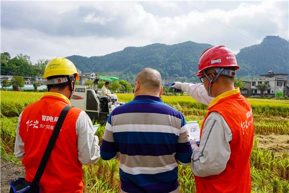 服务队队员来到田间地头科普安全用电。通讯员 刘远平 摄