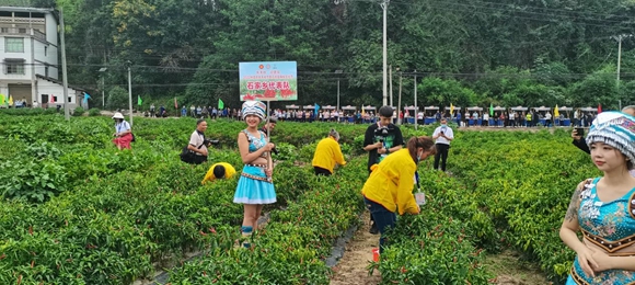 石柱县选择在辣椒基地举行绿色食品宣传。 活动主办方供图