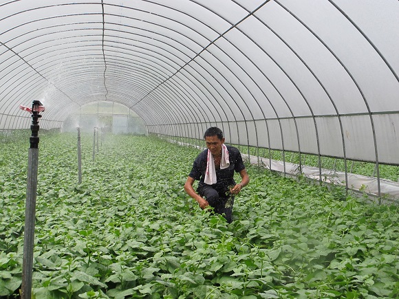 蔬菜基地高效节水灌溉工程。重庆市水利局供图