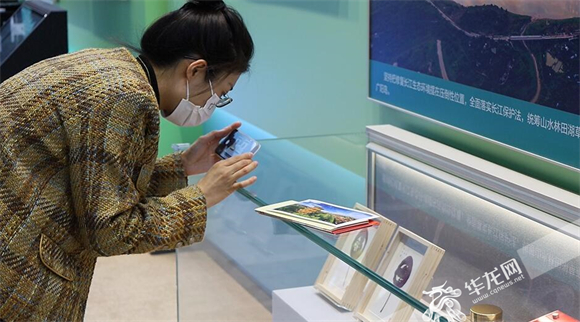 2媒体记者对重庆展品拍摄记录。华龙网-新重庆客户端记者 张馨月摄
