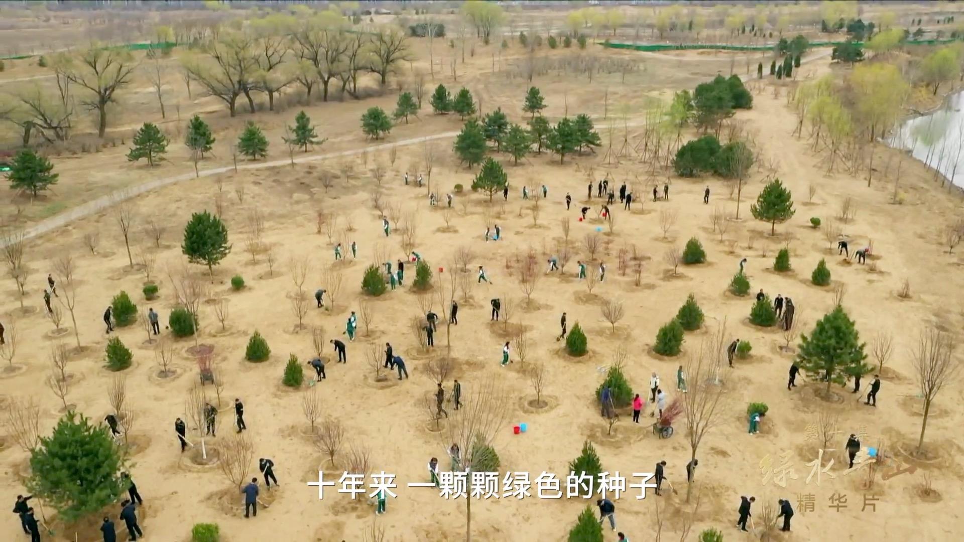 领航|《美好生活》、《绿水青山》速览5