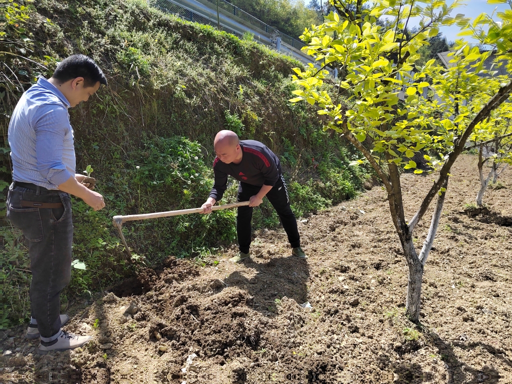 1谢林坤（右）在地里忙活。重庆江北警方供图