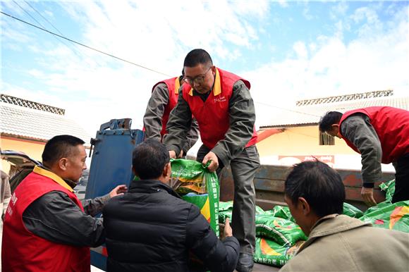 国网巫溪供电公司党员志愿者与村民一起卸下肥料。通讯员 李实鲜 摄