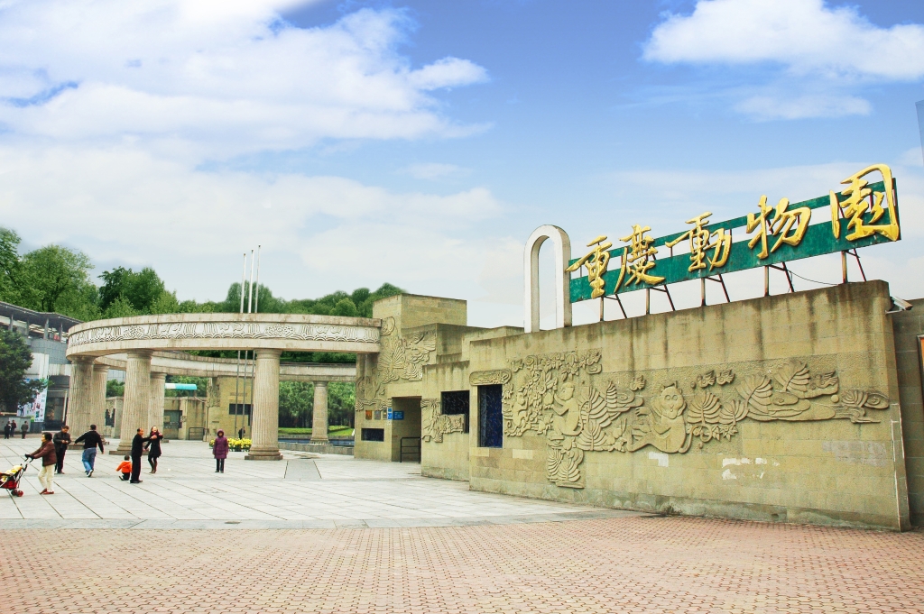去哪儿平台上重庆热门景区之一的重庆动物园。受访单位供图